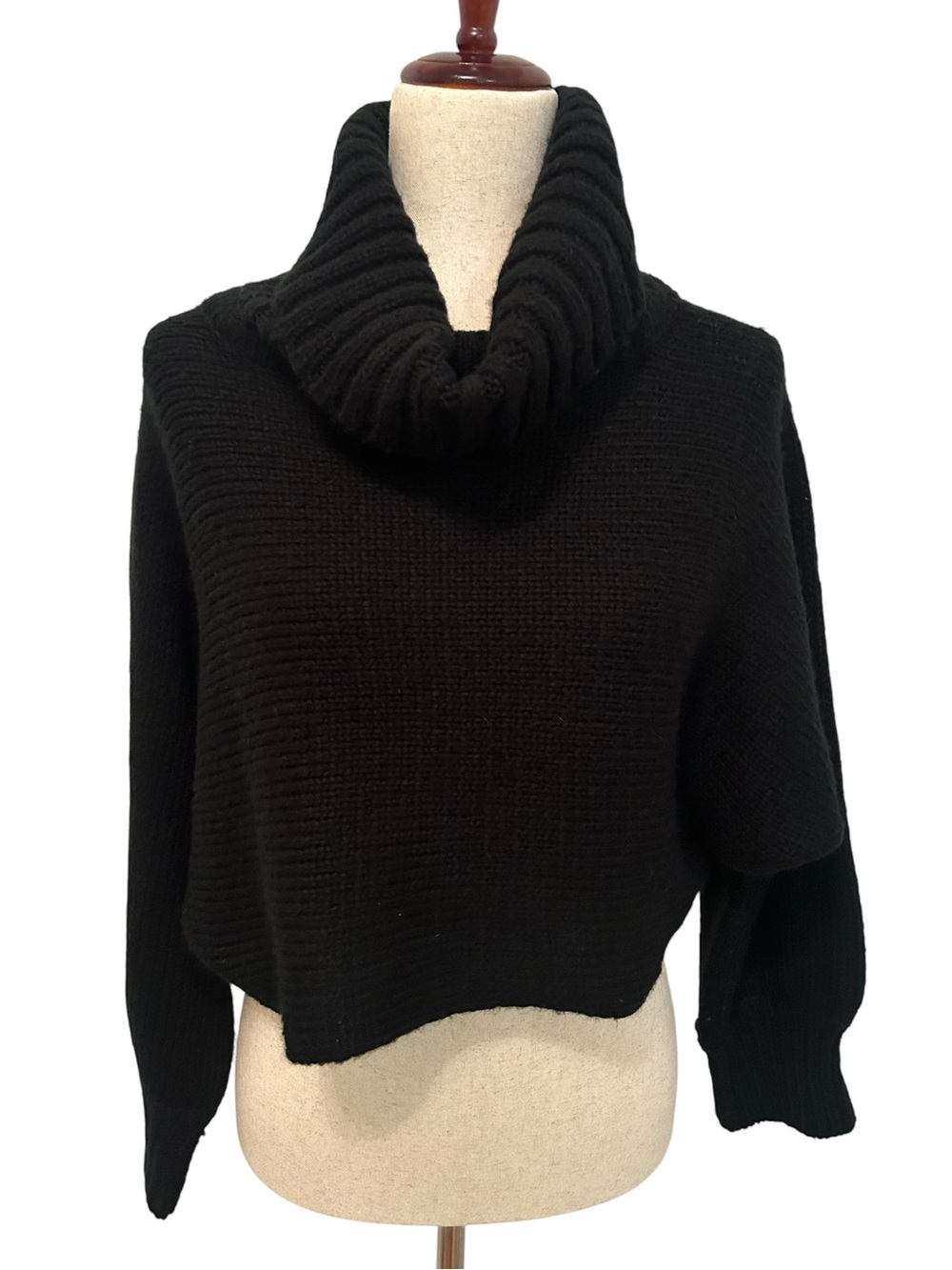 AZALEA WANG Soo Black Chunky Knit Cropped Turtleneck Sweater Women Small